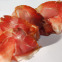 ham-769628_1280