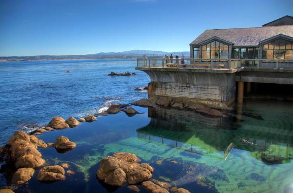 Monterey_MBAGreatTidepool_daSilvaMBA