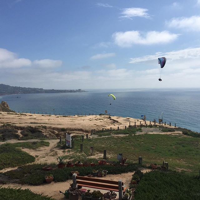 I just flew one !